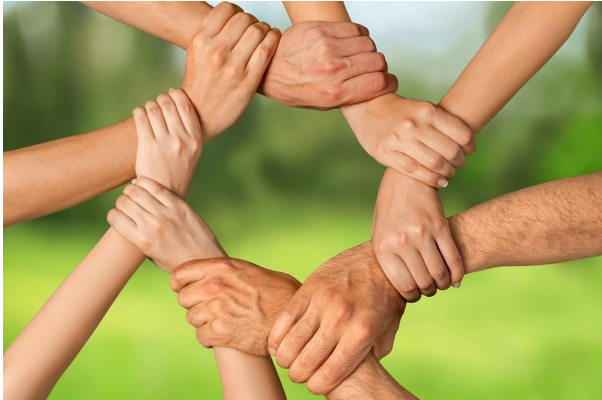 [Архэ] Кооперация против конкуренции: как на самом деле выживали сообщества (Станислав Дробышевский)