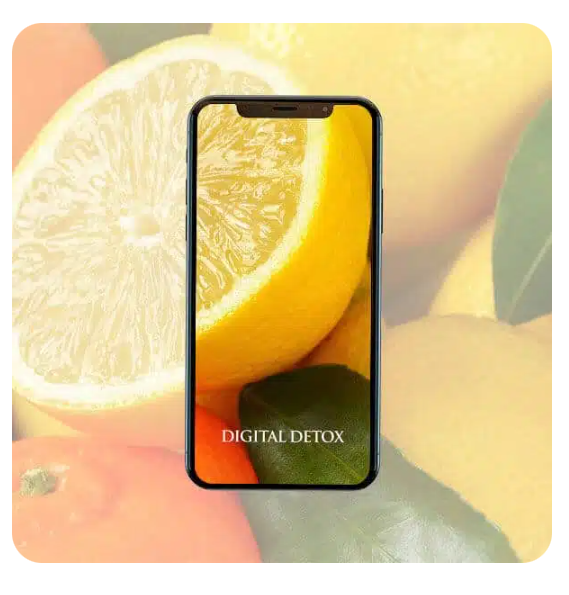 Цифровой Детокс (Эрик Томпсон)