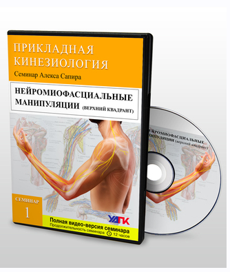 Мануальная терапия нервной ткани. Семинар №1. Верхний квадрант (Алекс Сапир)