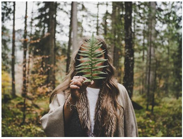 [FestTrav] Синрин-йоку - лесная терапия родом из Японии (Нина Смирнова)