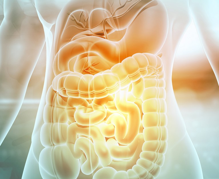 [Fantel] Расшифровка медицинских анализов. Восстановление желудочно-кишечного тракта (Антон Поляков)