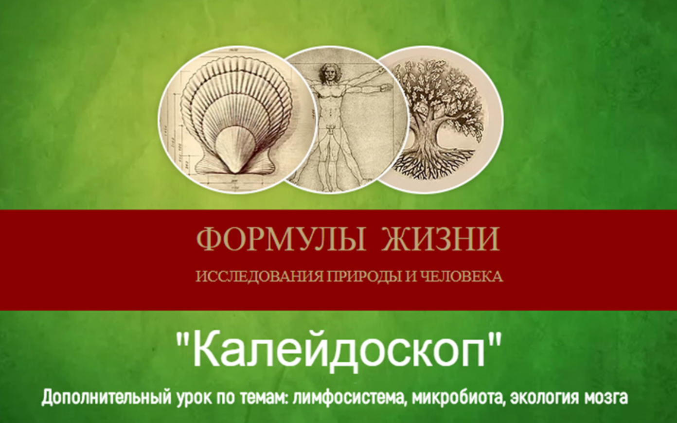 Калейдоскоп. Дополнительный урок (Эдуард Витюк)