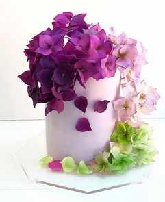 Курс "Цветы из домашней мастики". Тариф "Стандарт" (Марьям Могушкова) @art.torte