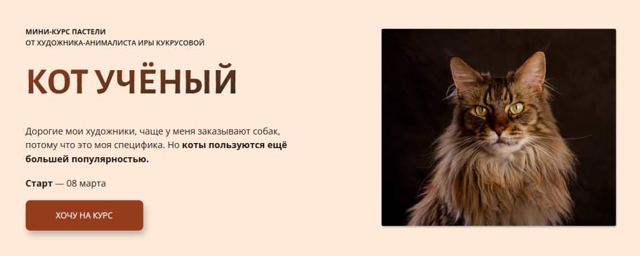 Кот ученый. Тариф без ОС (Ира Кукрусова)