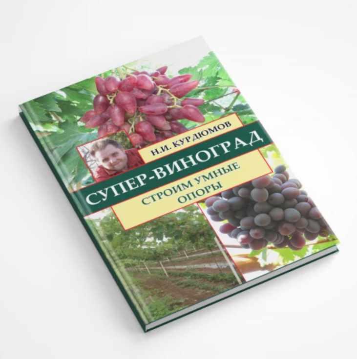 Супер-виноград. Навык 4 Строим умные опоры (Николай Курдюмов)