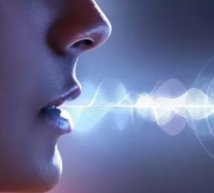 Фабула Речь и голос 2.0 (Дмитрий Исаев, Александр Драгнев)