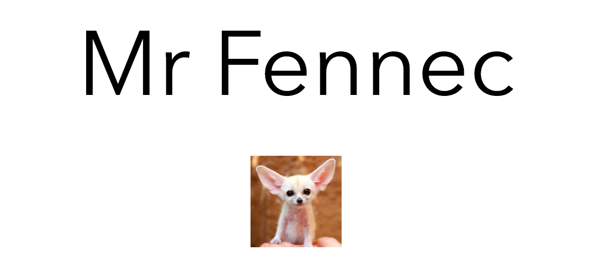 Mr Fennec 1 (Антон Брежестовский)