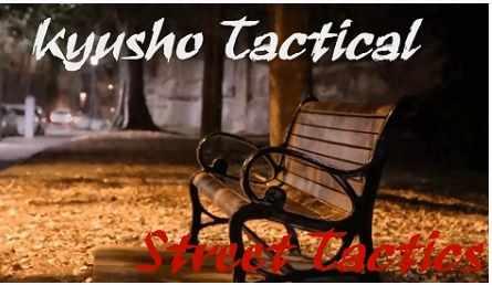 Акупунктура. Уличная тактика применения. Часть 1 из 3 (Эван Пантази)