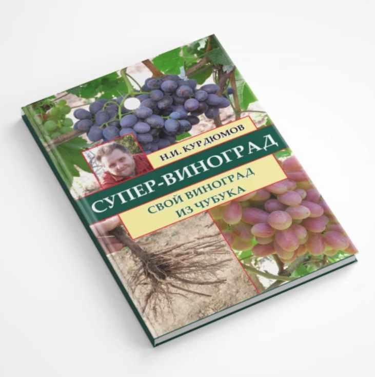 Супер-виноград. Навык 2 Свой виноград из чубука (Николай Курдюмов)