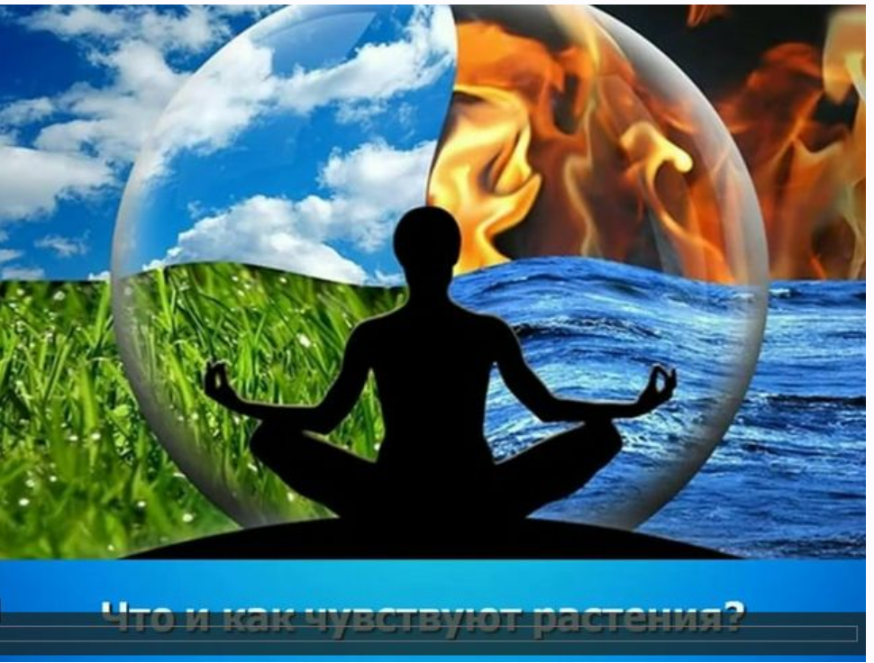 Как самому легко планировать совместные посадки и сроки работ в саду (Станислав Карпук)