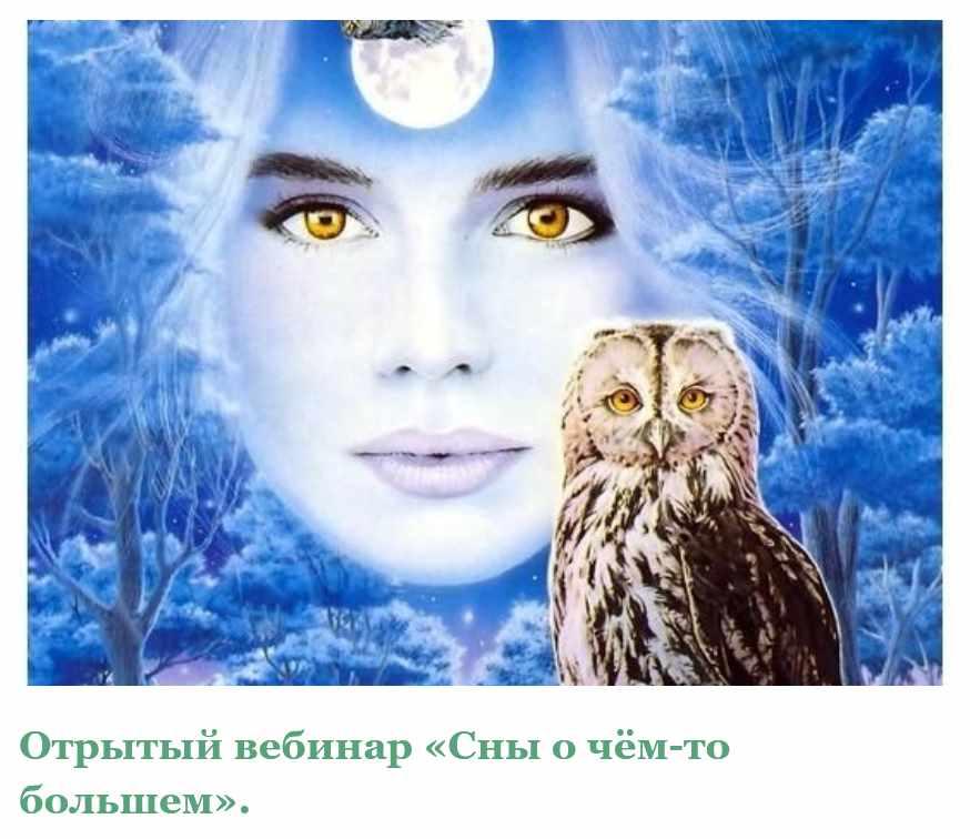 Сны о чём-то большем (Ирина Зингерман)