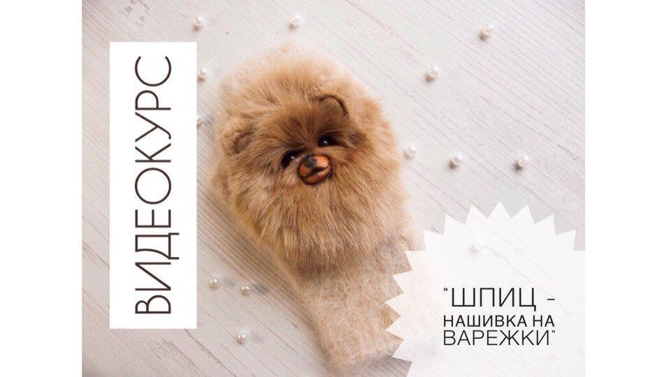 Шпиц - нашивка на варежки (Анастасия Фролкова)
