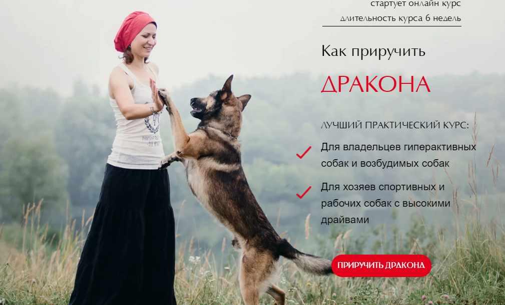 [Школа бесконфликтной дрессировки] Как приручить Дракона. Тариф Все сам (Ульяна Мальцева)