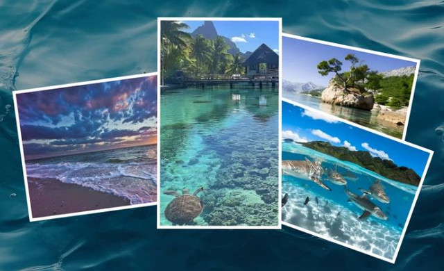 Курс по морскому пейзажу. Пакет Минимальный (Ольга Базанова)