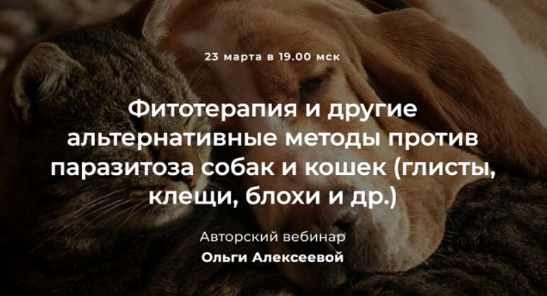 Фитотерапия и другие альтернативные методы против паразитоза собак и кошек (Ольга Алексеева)