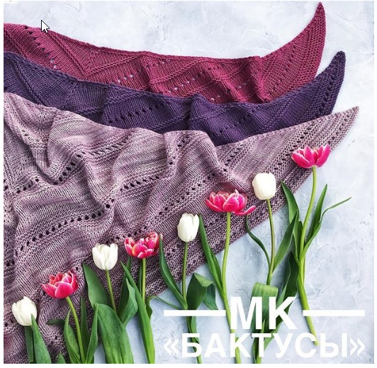 Мастер-класс Бактусы от А до Я (Анна Захарова)