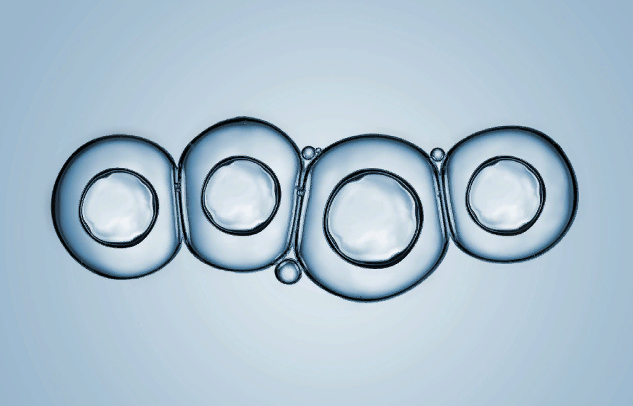 [Morpheus Fields] Превращение | Morph