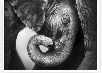 [Высшая школа психологии] Интегральный подход психологической работы с травмой развития. Раздел 4 (Анастасия Дивеева, Андрей Евдокимов)