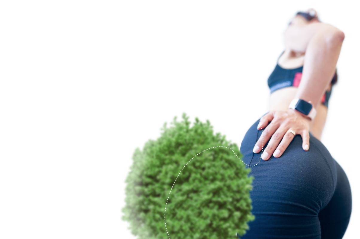 [Академия МЕЛ] Функциональные ягодицы в 3D (Ольга Мелякова), фото 1 из 1.