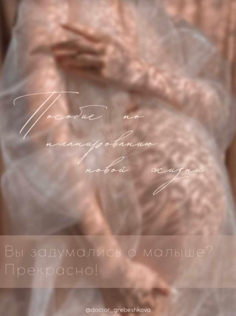 Пособие по планированию новой жизни (Елизавета Гребешкова)