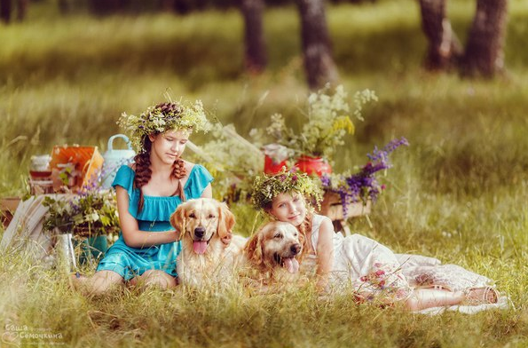 Вечер в лесу (Александра Сёмочкина)