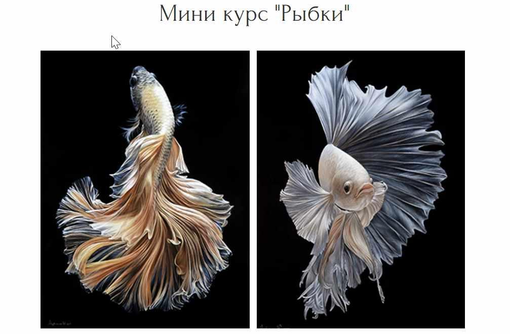 Мини курс "Рыбки" (Юлия Дубинина)