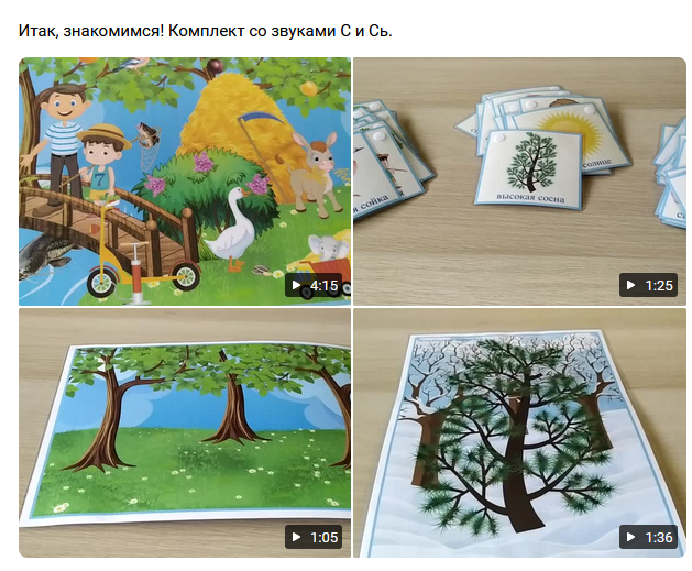 Автоматизация звуков. Комплект со звуком С и Сь (Евгения Михайлова)