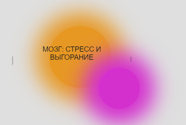 Мозг: стресс и выгорание. Как заметить и что делать? (Вячеслав Дубынин)