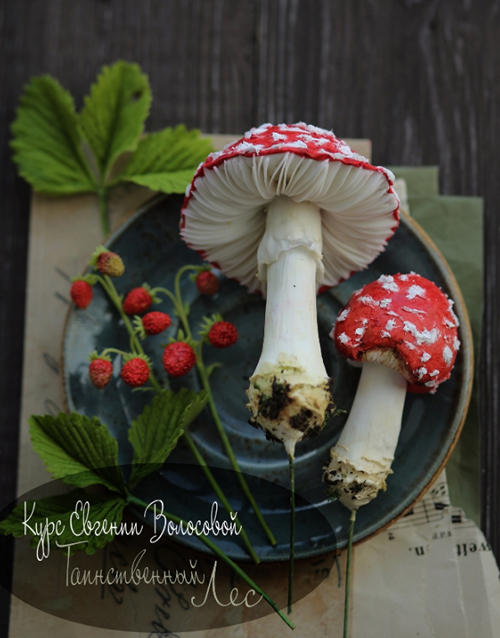 Таинственный лес (Евгения Волосова)