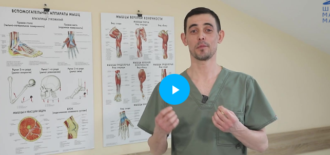 [Школа Мастеров Массажа] Нейродинамика опорно-двигательного аппарата (Руслан Масгутов)