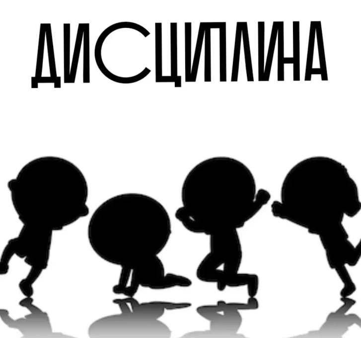 Дисциплина (Оксана Солодина)