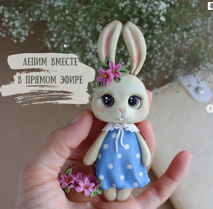 Зайка (Саша Вихарева), фото 1 из 1.