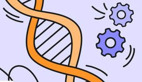 [РБК] Доступный биохакинг: как прожить до 120 лет