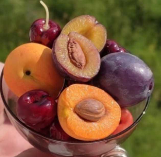 Вкус лета (Ольга Лапунова)