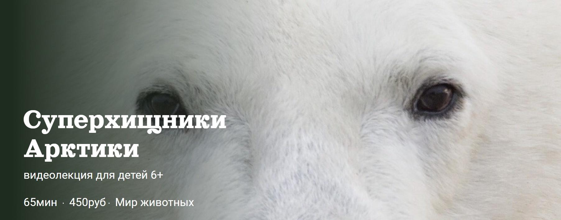 [Детский лекторий] Суперхищники Арктики (Александр Толмачев)