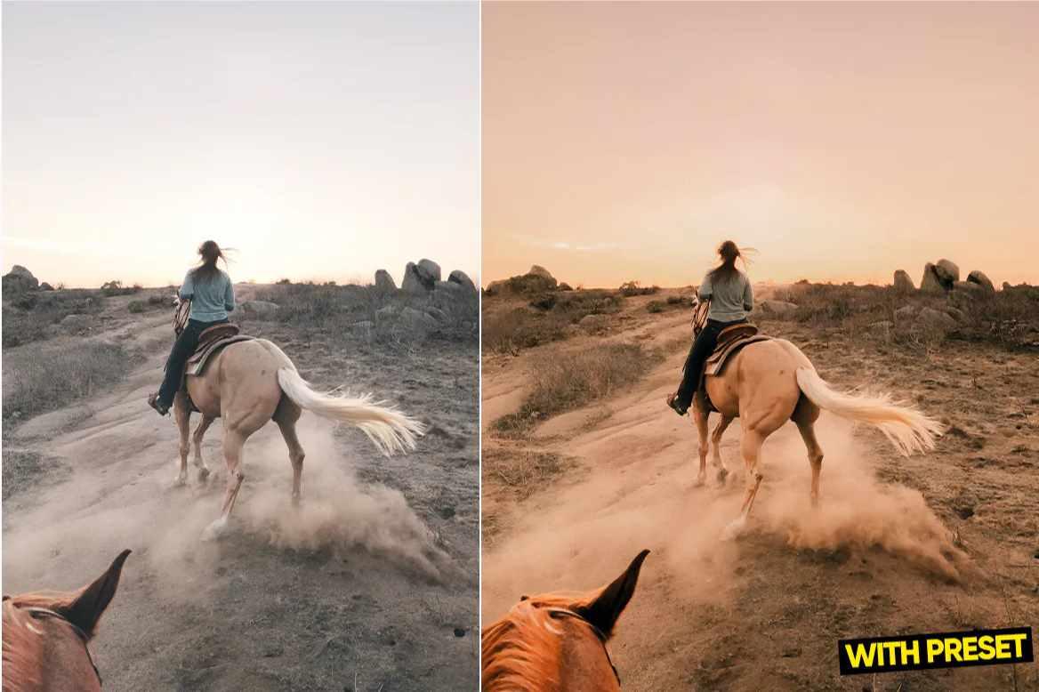 [Envato Market] ARTA - Пресеты чистой пустыни для Lightroom