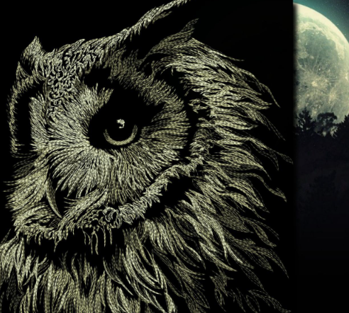 Дизайн машинной вышивки. В ночи - сова. Для пялец 20х28 (Наталья Шестакова), фото 1 из 1.