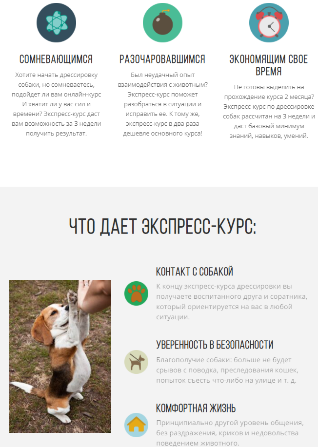 [kinologschool] Воспитанная собака за 3 недели (Антонина Зимарева)