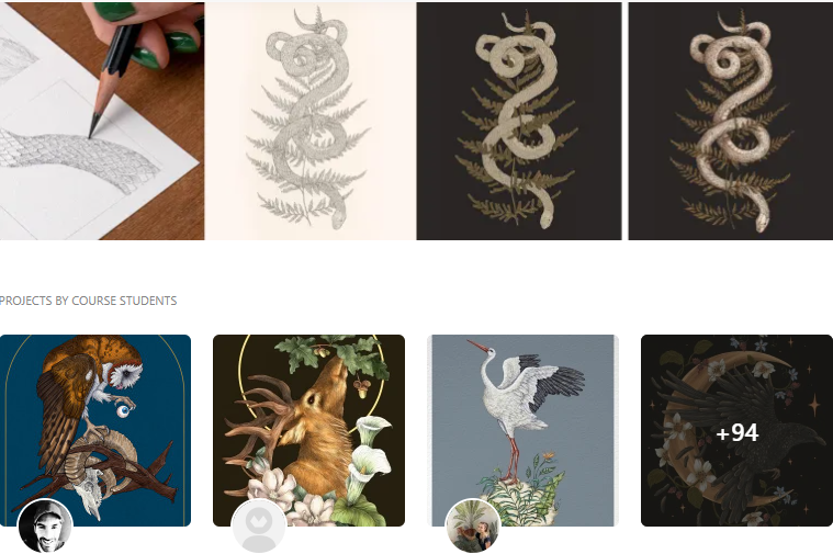 [Domestika] Иллюстрация природы в цифровом рисовании (Jessica Roux, Джессика Ру)