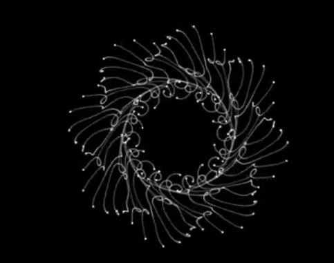 [Аратрон] Работа с религиозными эгрегорами  (Светлана Таурте)