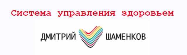 Система управления здоровьем 2013 (Дмитрий Шаменков)