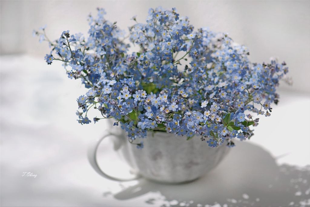 [Живопись Онлайн]  Незабудки (Маргарита Потороча)