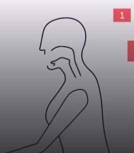 Глубокое горло (без коробки) (Viksi666)