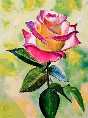 Роза. Изящество и нежность (Татьяна Букреева)