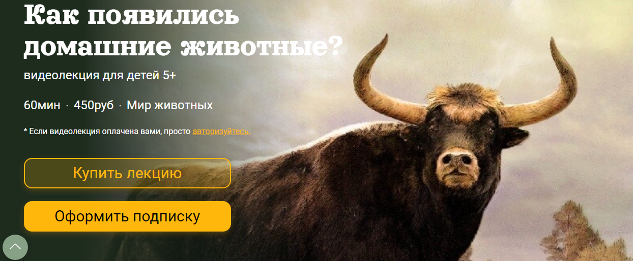 [Детский лекторий] Как появились домашние животные? (Александр Толмачев)