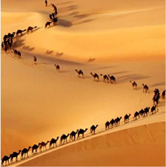 [Таким Путем] Истории путей. Мир в движении. Лекция 1. Пути до торговли (Константин Михайлов)