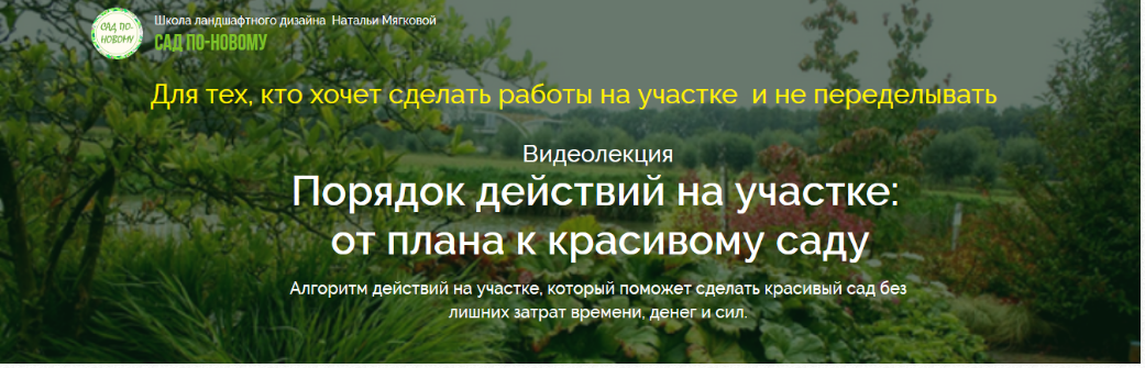 Порядок действий на участке: от плана к красивому саду (Наталья Мягкова)
