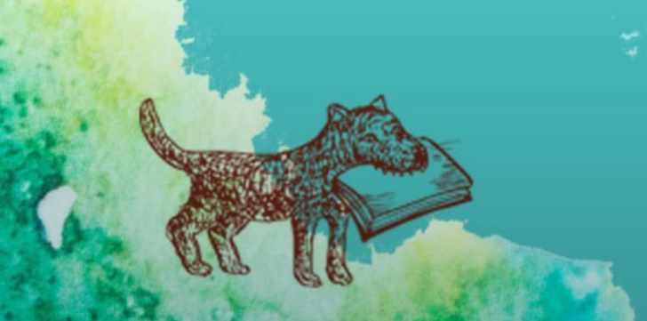 Сбалансированная библиотека (Оксана Левченко)