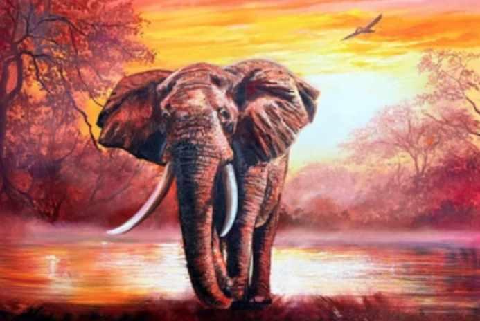Африканский слон (Ольга Базанова)
