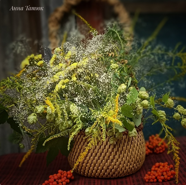 Школа мастеров Плетения. Первый поток 2022 (Ирина Останина , Светлана Зуева , Татьяна Чебыкина)